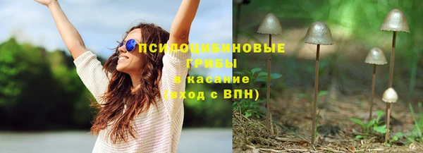 сатива Балахна