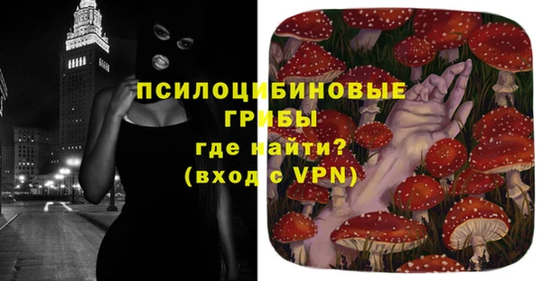 сатива Балахна