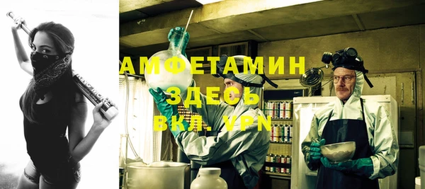 сатива Балахна